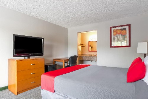 Bayside Inn Pinellas Park - Clearwater - image 11