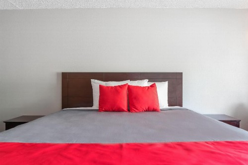 Bayside Inn Pinellas Park - Clearwater - image 4