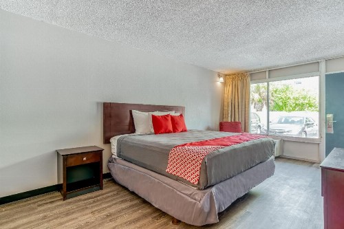 Bayside Inn Pinellas Park - Clearwater - image 8