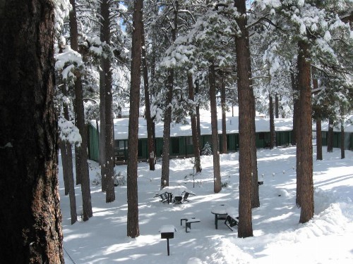 TimberLodge Inn - image 26