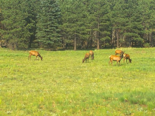 Double B Lodge - image 6