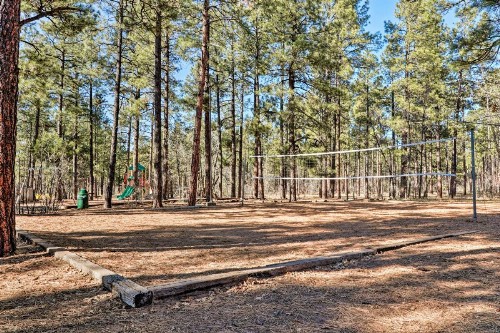 Family Friendly Pinetop Lakes Country Club Cabin! - image 4