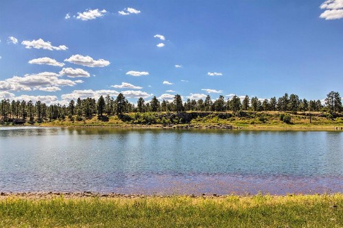 Family Friendly Pinetop Lakes Country Club Cabin! - image 6