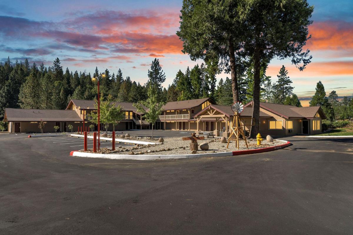 Pioneer Inn & Suites - image 3