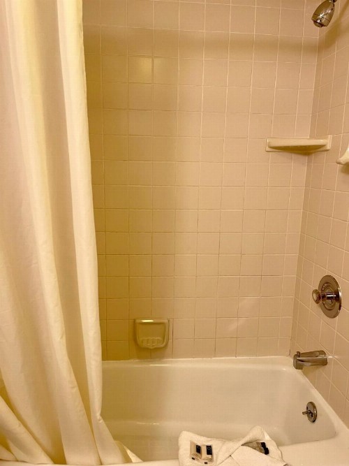 The Palomar Inn - image 48