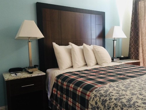 Dolphin Cove Motel - image 14