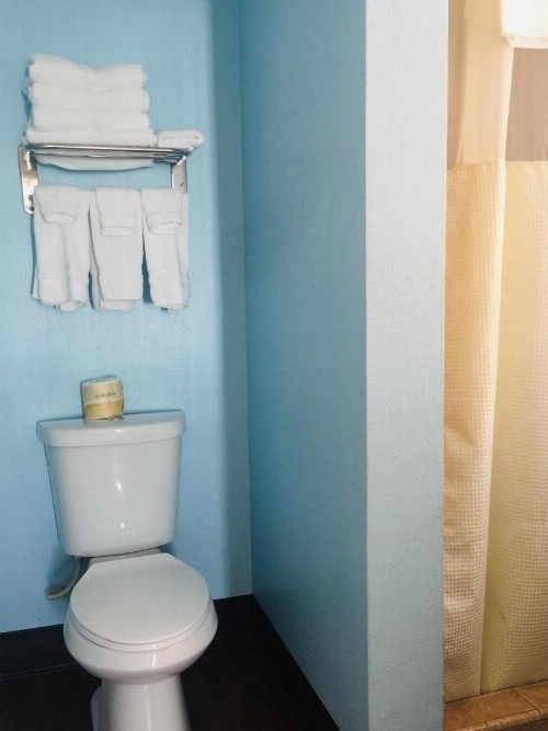 Dolphin Cove Motel - image 20