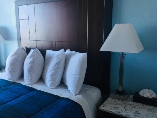 Dolphin Cove Motel - image 25