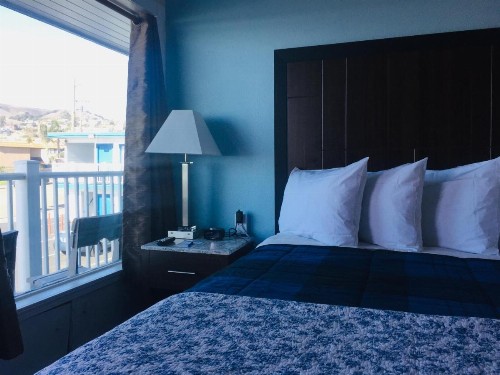 Dolphin Cove Motel - image 34