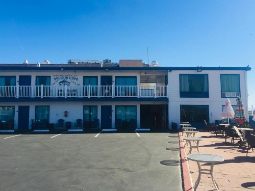 Dolphin Cove Motel - image 35