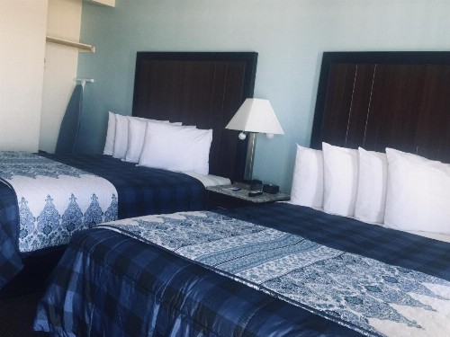 Dolphin Cove Motel - image 37