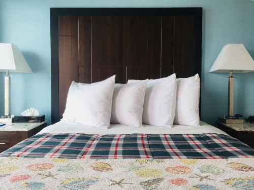 Dolphin Cove Motel - image 5