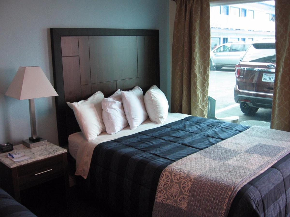 Dolphin Cove Motel - image 7