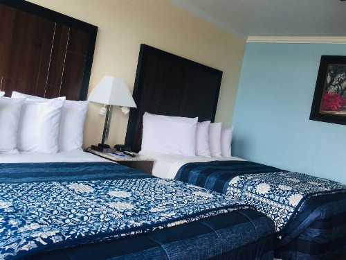 Dolphin Cove Motel - image 8