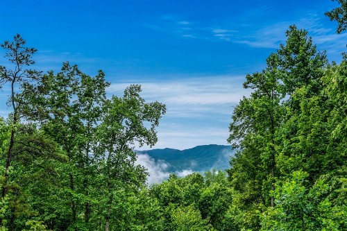 Mountain Mist - image 20