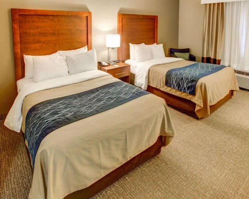 Comfort Inn Conference Center Pittsburgh - image 25