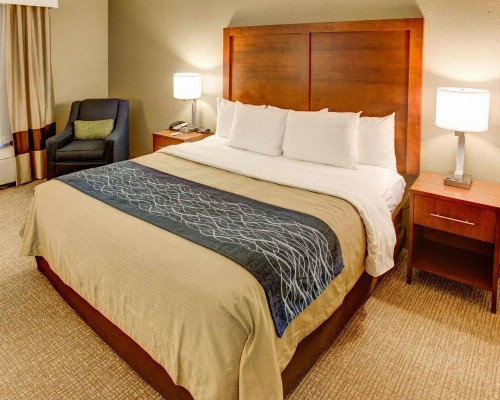 Comfort Inn Conference Center Pittsburgh - image 29