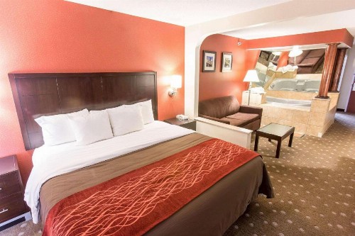 Comfort Inn Pittsburgh - image 29