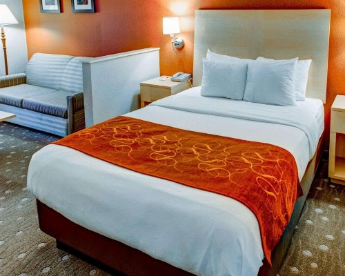Comfort Suites Coraopolis - image 11