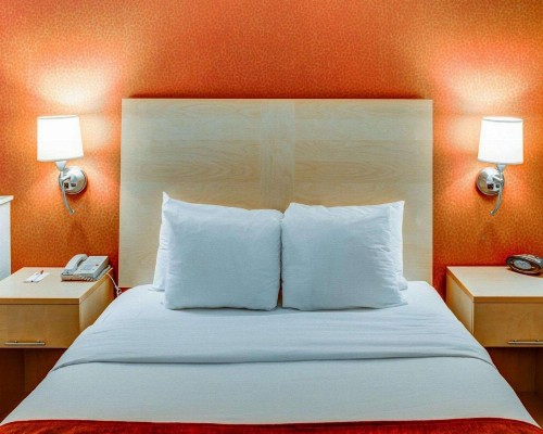 Comfort Suites Coraopolis - image 12