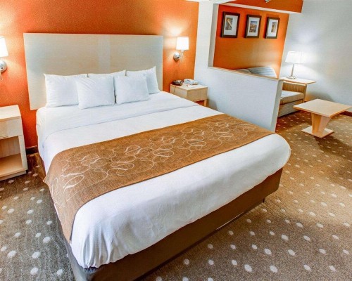 Comfort Suites Coraopolis - image 13