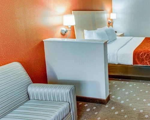 Comfort Suites Coraopolis - image 14