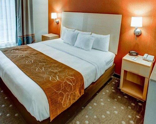 Comfort Suites Coraopolis - image 16