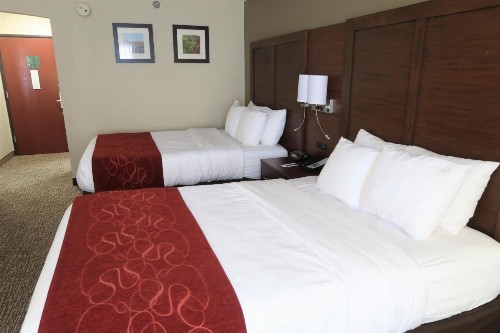 Comfort Suites Coraopolis - image 30