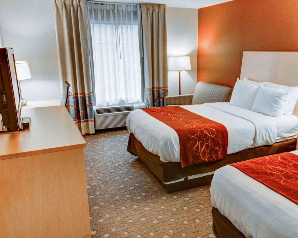 Comfort Suites Coraopolis - image 5