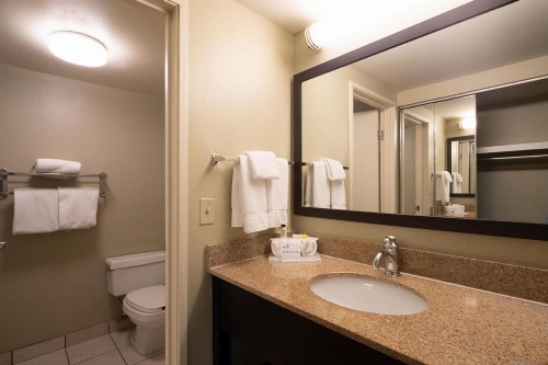 Holiday Inn Express Hotel & Suites Pittsburgh Airport an IHG Hotel - image 15