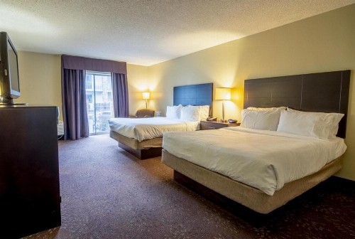 Holiday Inn Express Hotel & Suites Pittsburgh Airport an IHG Hotel - image 36