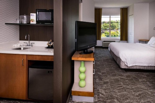 SpringHill Suites Pittsburgh Southside Works - image 36