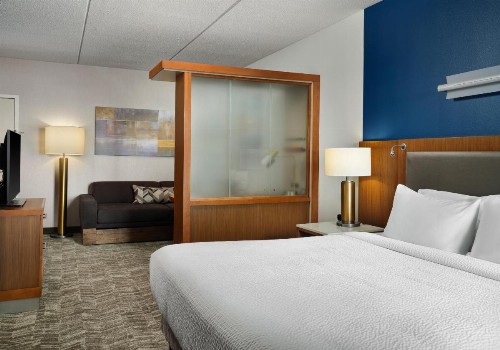 SpringHill Suites by Marriott Pittsburgh Mt. Lebanon - image 9