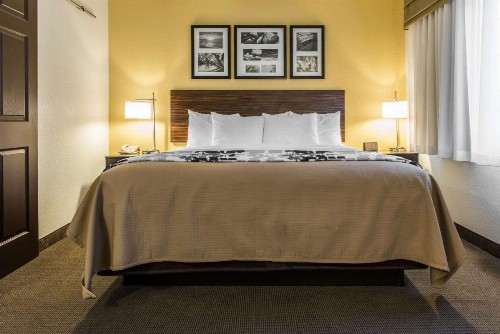 Sleep Inn & Suites Pittsburgh - image 25