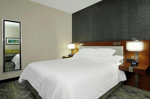 Embassy Suites Pittsburgh-Downtown - image 40