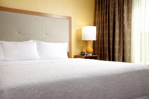 Hampton Inn & Suites Pittsburgh Airport South/Settlers Ridge - image 13