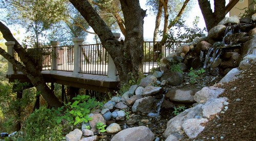 Bella Vista Bed and Breakfast - image 13