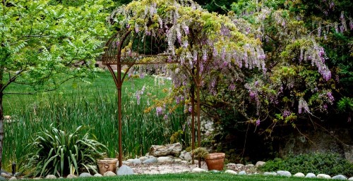 Bella Vista Bed and Breakfast - image 44