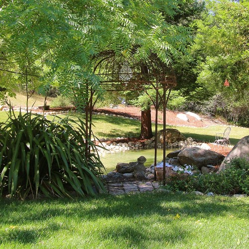 Bella Vista Bed and Breakfast - image 7