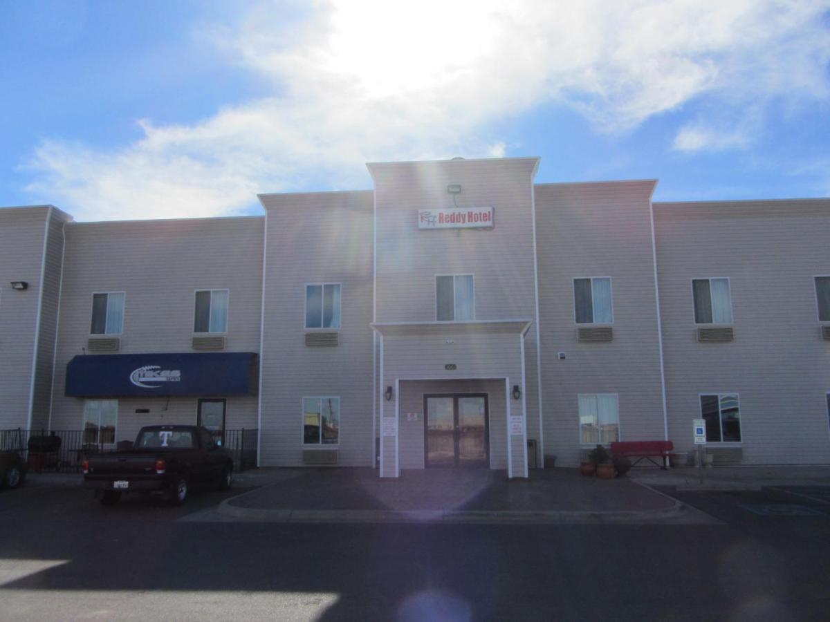 Reddy Hotel - image 6