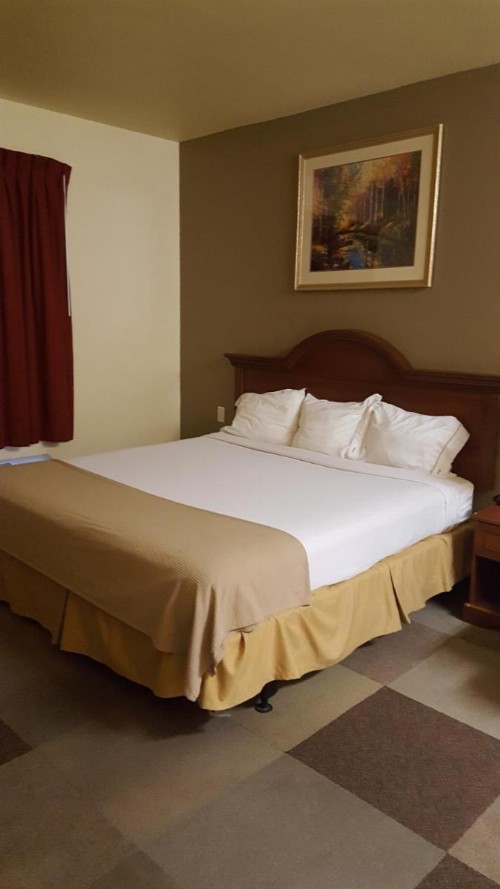 Reddy Hotel - image 8