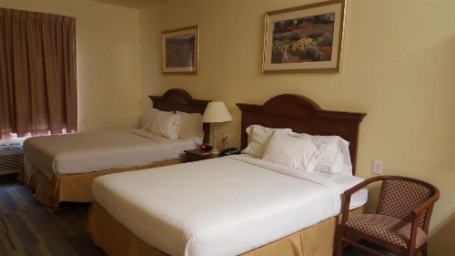 Reddy Hotel - image 9
