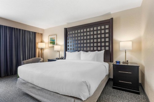 Hampton Inn Plano-North Dallas - image 10