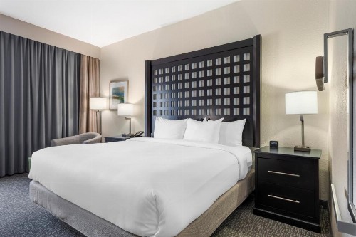Hampton Inn Plano-North Dallas - image 12