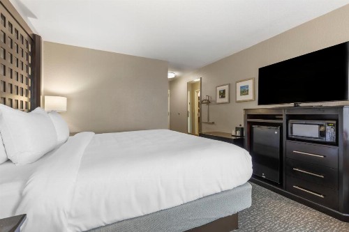 Hampton Inn Plano-North Dallas - image 13