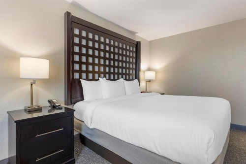 Hampton Inn Plano-North Dallas - image 14