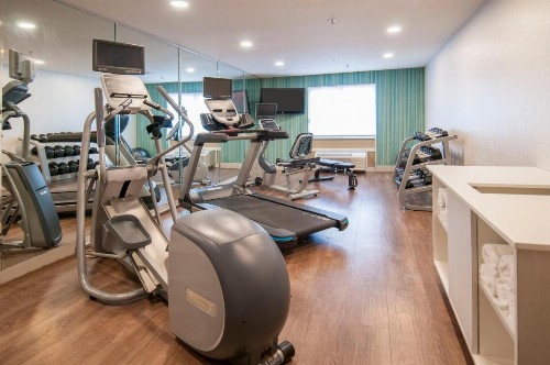 Holiday Inn Express Hotel & Suites Dallas-North Tollway/North Plano an IHG Hotel - image 25