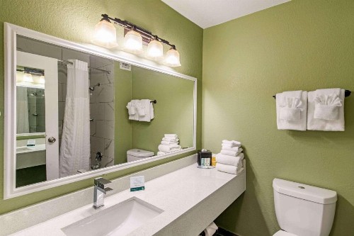 Quality Inn & Suites Plano - image 3