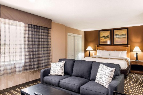 Quality Inn & Suites Plano - image 34