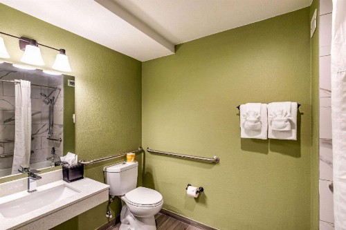 Quality Inn & Suites Plano - image 4
